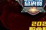 王者无双 CHERRY赞助2024FSPL职业联赛总决赛