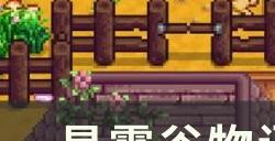 《星露谷物语》姜岛怎么解锁 新手姜岛攻略