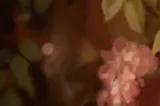 《无冬之夜：增强版》发布官方更新 却是由MOD团体打造