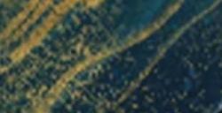 《苏丹的游戏》对老婆折所有纵欲卡攻略分享