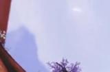 孔鸟金翠羽,低鸣震长空,穿上《天下》手游这套时装一起镇守大荒吧!