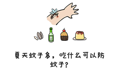 谐音梗挑战第34关攻略  夏天蚊子多吃什么可以防蚊子