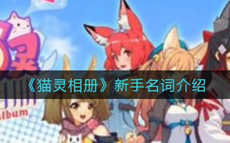 猫灵相册新手名词有哪些  新手名词介绍