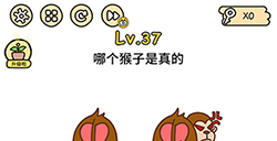 脑洞大大大第37关攻略  哪个猴子是真的