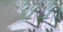 酷睿i9 14900K包装曝光 保持过往设计样式
