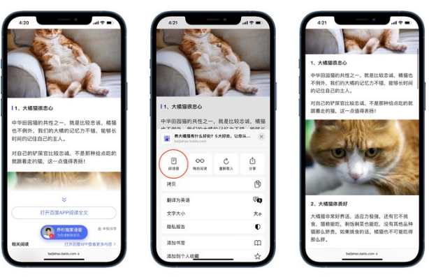 盘点iOS 15中得心应手的辅助功能-11.png