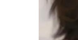 《完美黑暗》开发者攻击玩家 称玩家是种族歧视的猪