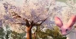 顾问都看傻了 任天堂在《幻兽帕鲁》专利诉讼中出险招