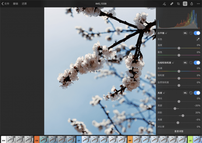 应用日推荐 专业级修图工具《Pixelmator Photo》