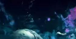 《祇：女神之道》镰鼬绘本点位一览