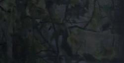 MMORPG《上古世纪编年史》发布新预告 2025年发售支持中文