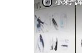 小米汽车启停按键设计细节首曝：轮廓与小米Logo一致
