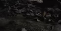 《潜行者2：切尔诺贝利之心》气溶胶保护防毒面具获得位置介绍