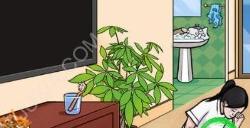 文字王者妻子的秘密还原故事场景找到真相攻略 场景2红包在哪