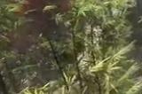 《古龙风云录》宗师难度第七卷视频流程通关攻略