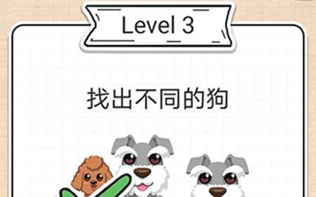 最强大脑急转弯第3关攻略  找出不同的狗