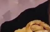 网红吃播Cos《地平线：西之绝境》女主埃洛伊 太像了！
