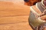 《怪物猎人崛起:曙光》新活动任务现已推出 完成后可得特殊动作