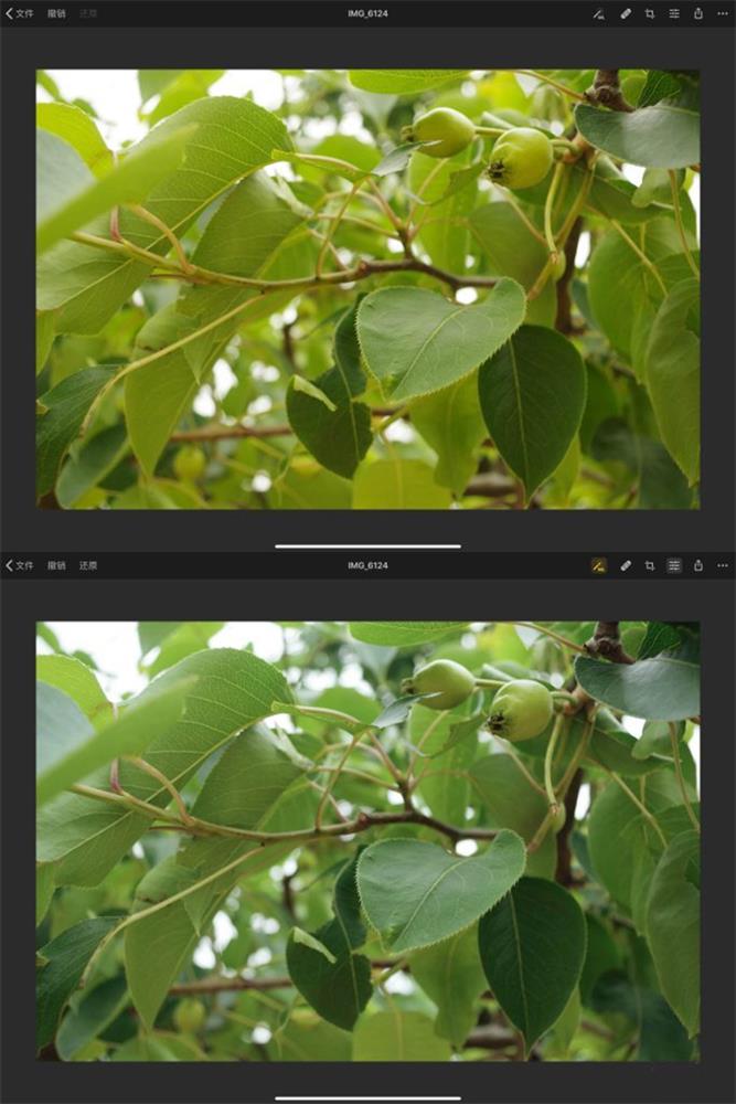 应用日推荐 专业级修图工具《Pixelmator Photo》