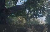 《下一站江湖2》技能怎么搭配 技能搭配攻略