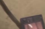 《无人》异常监视者位置介绍