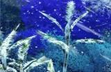 引擎融合加持，大荒也有四季流转了！《天下3》全新天气系统带你在大荒遍览天气奇观！