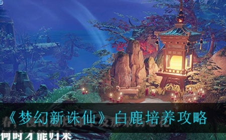 梦幻新诛仙白鹿怎么应该怎么培养  白鹿培养攻略