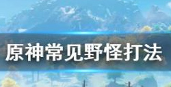原神野怪怎么打？原神野怪种类介绍