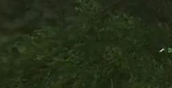 《逆水寒》探索宗门药王谷 老兵服宗门探索药王谷完成攻略