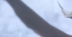 《龙腾世纪：影障守护者》隐秘的宝藏任务攻略分享