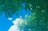 《原神》前瞻直播一般提前多久 前瞻直播时间介绍