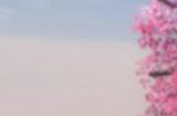 百花诞辰!《新倩女幽魂》花朝节活动盛大开场