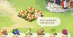 奥比岛手游精灵蛋怎么选择精灵蛋选择攻略