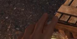 《污痕圣杯：阿瓦隆的陨落》招架手甲获取位置介绍