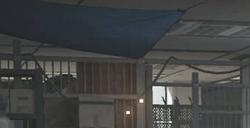 《Lost Light》保险箱具体作用介绍