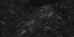 《真人快打1》将加入Smoke和Rain