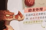 《哈利波特魔法觉醒》育龙怎么解锁 育龙解锁条件