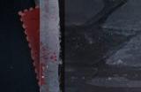 《时空中的绘旅人》全新活动「无罪之罪·孤情致敏」1月5日开启！