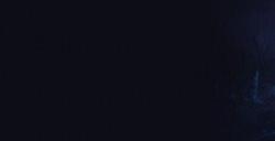 《艾尔登法环：黑夜君临》流程攻略