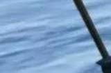 逆水寒手游1.2版本独珍装备全收集攻略 1.2独珍装备获取位置坐标