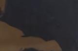 《PEAK》骷髅怪出现条件介绍