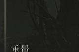 《艾尔登法环》龙辉大盾护符是否适合仿身泪滴介绍