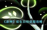 原神初生白枝怎么获得初生白枝获取攻略