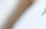 polycam使用攻略
