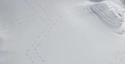 《冰汽时代2》研究所建造方法介绍