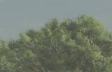 《模拟农场25》种土豆需要准备介绍