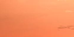 《地狱潜者2》追踪虫敌人有什么特点