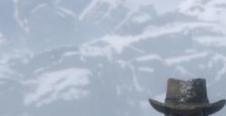《荒野大镖客2》动物西部火鸡秃鹫在哪里找