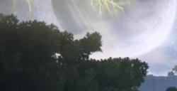 艾尔登法环结局有几个 结局数量介绍