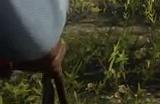 《荒野大镖客2》游戏狩猎大山谷区域有什么特点